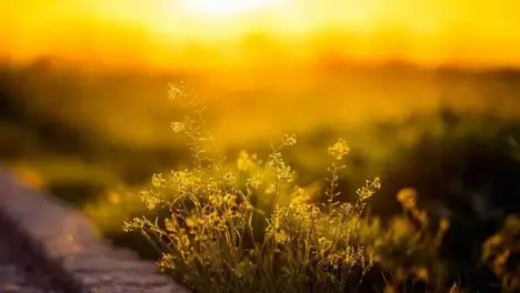 LPL夏季赛冒泡赛分组公布：IG胜者组冲击全球总决赛名额，败者组生死战激烈角逐